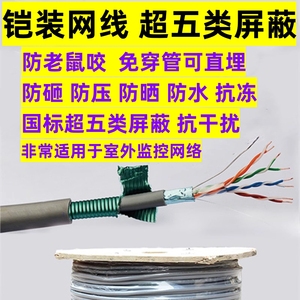 防鼠咬网线永鼎铠装网线超五类六类屏蔽室外地埋猫抓直埋监控网线