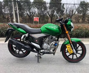 原装钱江龙150cc摩托车二手贝纳利蓝宝龙机车畅跑125燃油代步街车