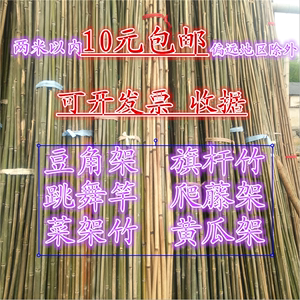 10根20根竹竿菜园搭架豆角黄瓜番茄爬藤架园艺篱笆菜架旗杆小竹子