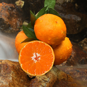 涌泉蜜桔台州农产品早熟宫川无籽橘浙江黄岩柑子当季新鲜水果10斤