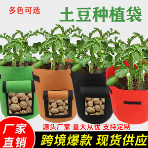 土豆种植袋 毛毡无纺布马铃薯西红柿种植桶植物种植袋植物生长袋