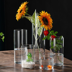 水培植物直筒玻璃花瓶创意高硼硅玻璃花盆艺术插花花瓶苔藓景观瓶