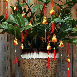 植物小灯笼
