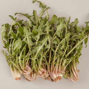 溪味道新鲜婆婆丁菜2斤东北辽宁山野菜现挖蒲公英苦菜蘸酱菜