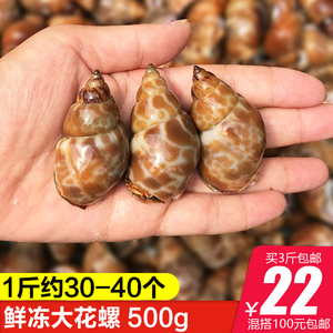 佛手螺鲜活特大