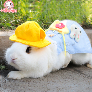 宠物兔子衣服牵引绳帽子荷兰猪裙子垂耳兔兔兔用品侏儒兔专用衣服
