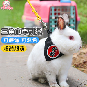 兔子牵引绳三角巾溜兔子口水巾防挣脱兔绳宠物兔侏儒兔遛兔外出绳