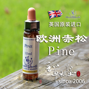 热卖香草私塾英国巴赫贝曲花精欧洲赤松10毫升罪恶感自我谴责