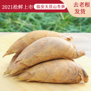 浙江临安天目山黄泥冬笋 新鲜现挖 野生毛竹笋 5斤