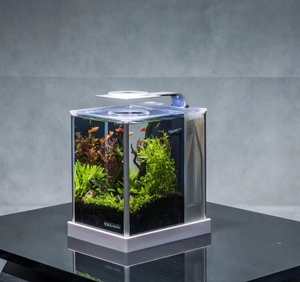 阿诺比迷你生态鱼缸造景静音背滤小型斗鱼虾缸海水桌面玻璃水族箱