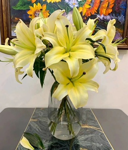 云南直发鲜花花束百合黄天霸多头3枝花期长