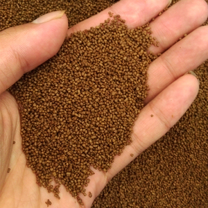 小甲鱼幼苗专用饲料乌龟鳖料水鱼苗开口料王八鳄龟苗漂浮颗粒100g