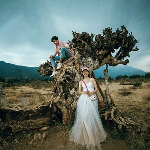 三逸鹿韩国婚纱摄影旅拍济州岛巴厘岛三亚丽江厦门大理婚纱照拍摄