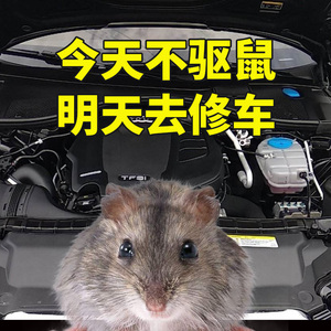 汽车驱鼠膏发动机舱小车防老鼠专用老鼠驱赶神器车载耐高温灭鼠器