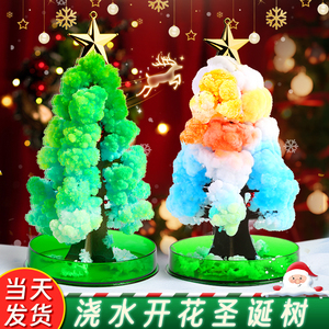 圣诞树开花纸树浇水魔法圣诞树结晶圣诞节礼物儿童玩具手工创意