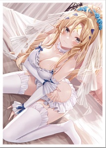 游戏王 教导的圣女 艾克莉西娅 单张动漫卡套 适合收藏