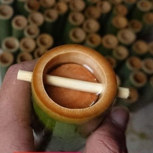 竹筒粽子模具天然家用商用新鲜手工活塞式糯米饭蒸桶现砍发现竹子
