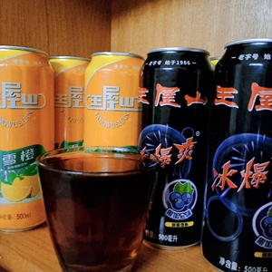 河南济源特产王屋山黑加仑味冰爆爽碳酸饮料500ml*10罐 省内包邮