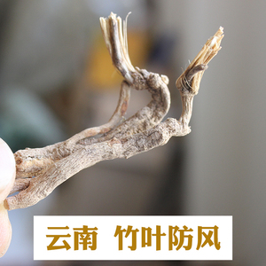 云南野竹叶防风竹叶西风芹100克哀牢山天然中药材鸡足云防风