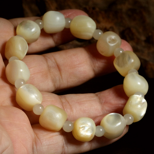 (结缘欣赏)【收藏级】传世藏密老鱼骨 清代螺钿老佛珠 手串 011