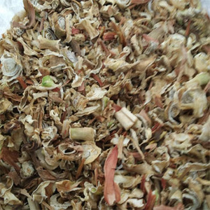 虎眼万年青药用干粉圆球干金边旱三奇干叶子可加半枝莲白花蛇舌草