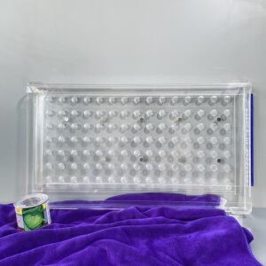 小型穴盘播种器辣椒甘蓝白菜包菜西蓝花漂浮盘烤烟育苗神器点籽器