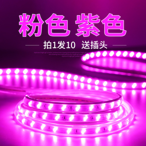 紫色led灯带紫光粉色灯带家用220v装饰浪漫创意超亮户外防水长条