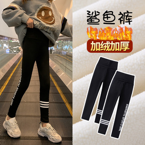 女童鲨鱼裤加绒加厚秋冬季儿童裤子冬外穿时尚中大童羊羔绒打底裤