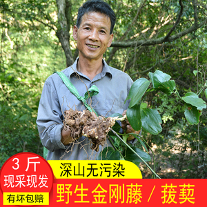 金刚藤头野生菝葜1500g现挖新鲜滋补药材煲汤材料泡酒用原料正品