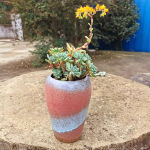 z06a多肉创意复古粗陶透气古朴绿植物种植悬崖老桩盆法师盆景德镇