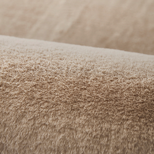 毛茸茸地毯 地垫 超软 驼色洋气百搭 60x160cm 适合