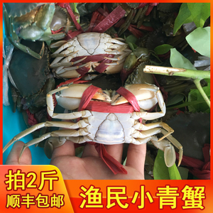 渔民小青蟹(1斤约4-7只)小海蟹螃蟹鲜活海鲜野生(拍2斤包邮）