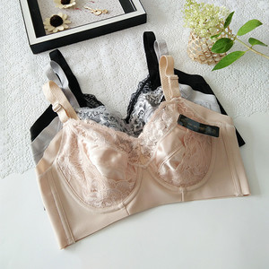 大号文胸大罩杯