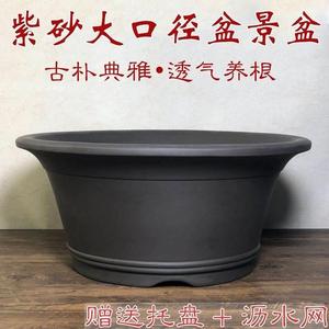 紫砂无孔花盆特大号盆景古法鱼缸养鱼盆45/60/70cm大口径水陆鱼缸