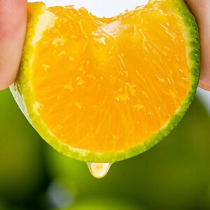 冰糖橙实建褚橙花斑果纯甜新鲜手剥橙无渣高原甜橙哀牢山105人付款38