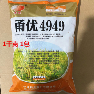 甬优4949 早中熟籼粳稻杂交中稻种子 杂交一季稻种子