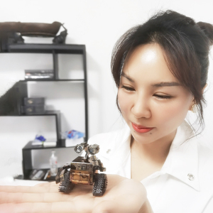 3D立体拼装模型DIY全金属拼图机器人总动员瓦力 高难度非儿童玩具