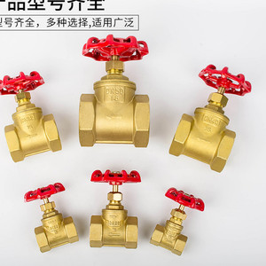华龙巨水全铜高温蒸汽阀门开关水管水表截止阀4分6分1寸dn152025