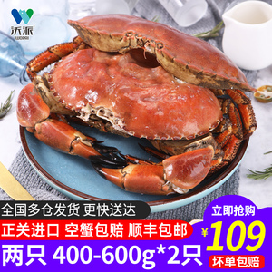 超大面包蟹熟冻螃蟹鲜活特大冷冻海蟹新鲜梭子蟹超大珍宝蟹黄金蟹