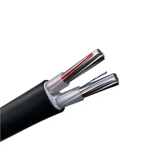 户外铝线电线电缆线2芯电揽线6/10/16平方铝芯线地埋线二芯电览线