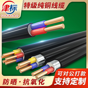 国标YJV铜芯电缆2 3 4 5芯2.5 4 6平方充电桩电缆线铜线电线铠装