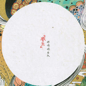 民谣 | 好妹妹乐队-春生 南北专辑全集 11cd 无损碟片光盘