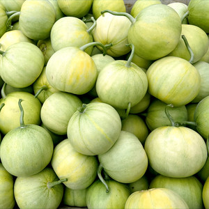 新鲜水果5斤现摘山东绿宝石甜瓜香瓜脆瓜蜜瓜翠宝甜宝瓜芥梏商贸79