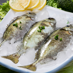 湛江海鲜海鱼尼猛鱼泥猛鱼花猛鱼海仔鱼去肚去鳃真空包装500g*3包