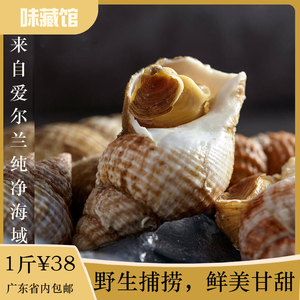 爱尔兰白螺 即食海螺 新鲜刺身北峨螺 日料翡翠螺冷冻水产海鲜500
