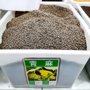 苘麻种子青麻种孑野苎麻线麻冬葵种籽小苘子做麻绳用种籽苘麻苗种