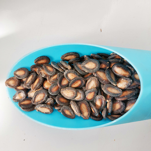 打瓜种子瓜子子瓜大颗粒水果籽生种籽大瓜产籽西瓜国产四季