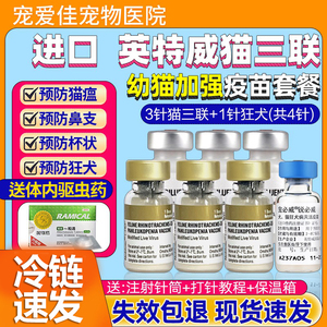 进口英特威猫三联疫苗3联 狂犬一套自打猫疫苗加强套餐幼猫预防针
