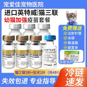 荷兰英特威猫三联3联猫疫苗小猫幼猫3针加1狂犬猫预防针一套自打