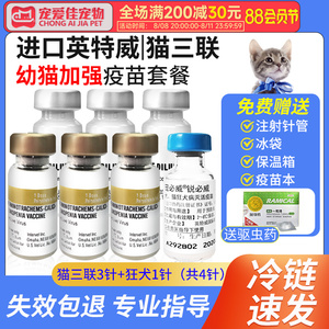 00liyangaiwenli001淘宝进口荷兰英特威猫三联猫疫苗一套自打猫咪